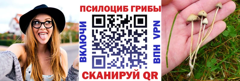 Галлюциногенные грибы Magic Shrooms  Давлеканово 